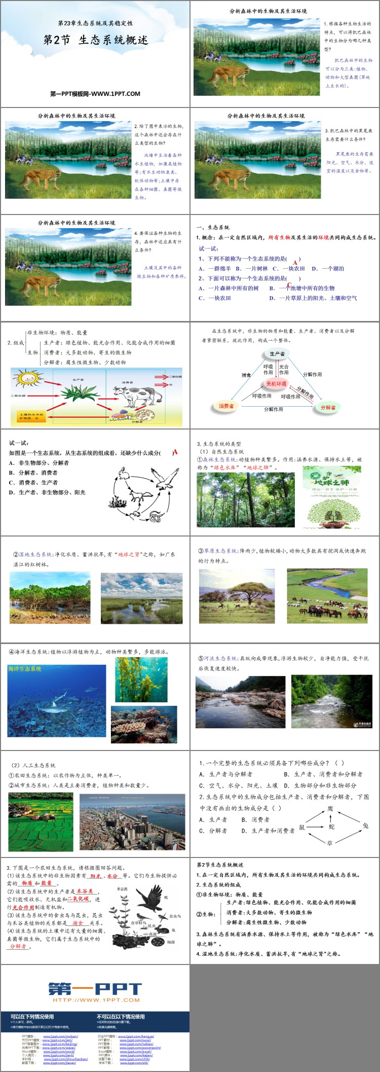 《生态系统概述》PPT优质课件