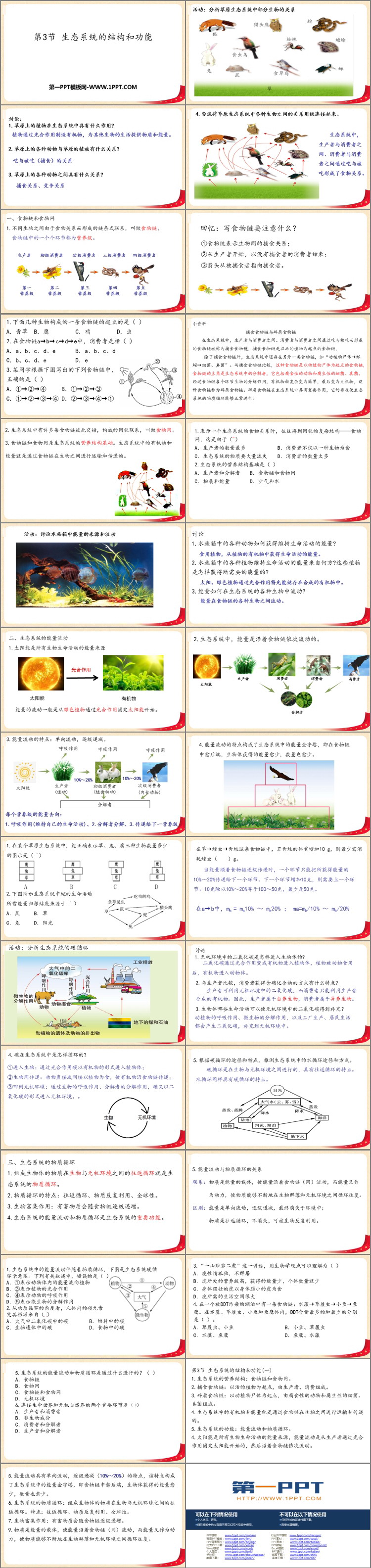 《生态系统的结构和功能》PPT免费下载