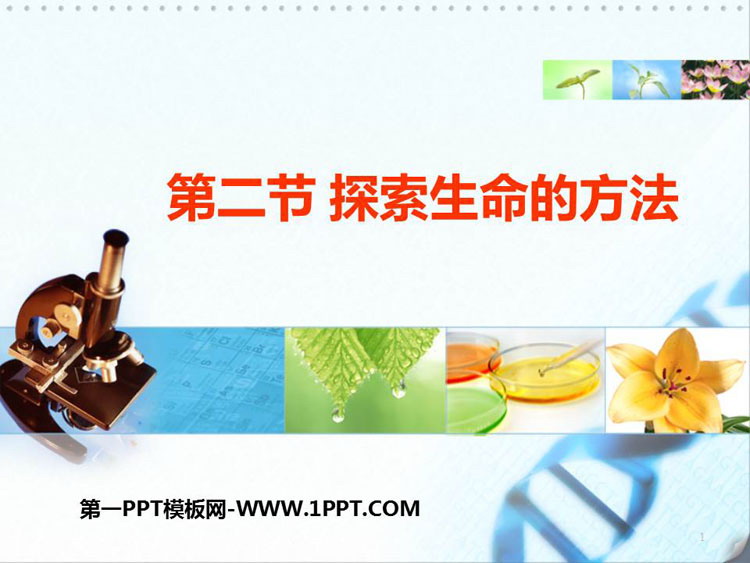 《探索生命的方法》PPT免费下载
