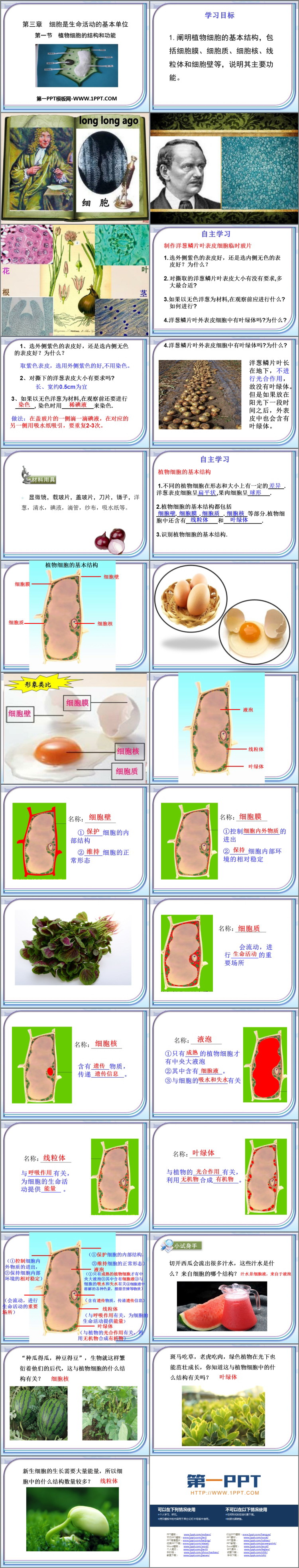 《植物细胞结构和功能》PPT免费下载