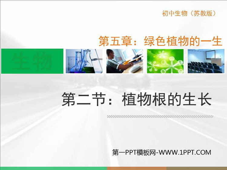 《植物根的生长》PPT精品课件