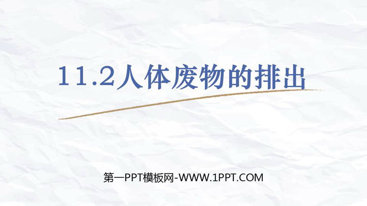 《人体废物的排出》PPT课件下载
