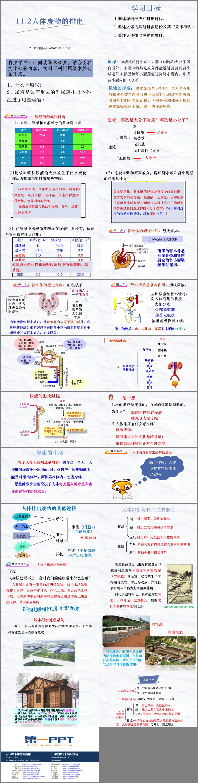 《人体废物的排出》PPT课件下载
