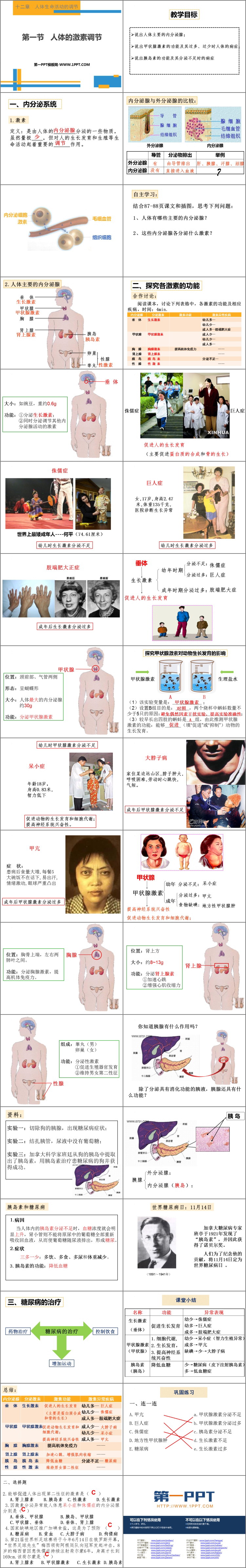 《人体的激素调节》PPT免费课件