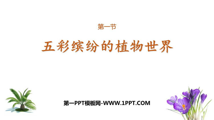 《五彩缤纷的植物世界》PPT课件下载