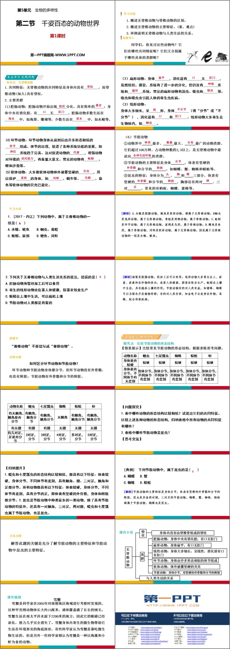 《千姿百态的动物世界》PPT教学课件(第1课时)