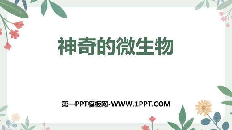 《神奇的微生物》PPT免费课件