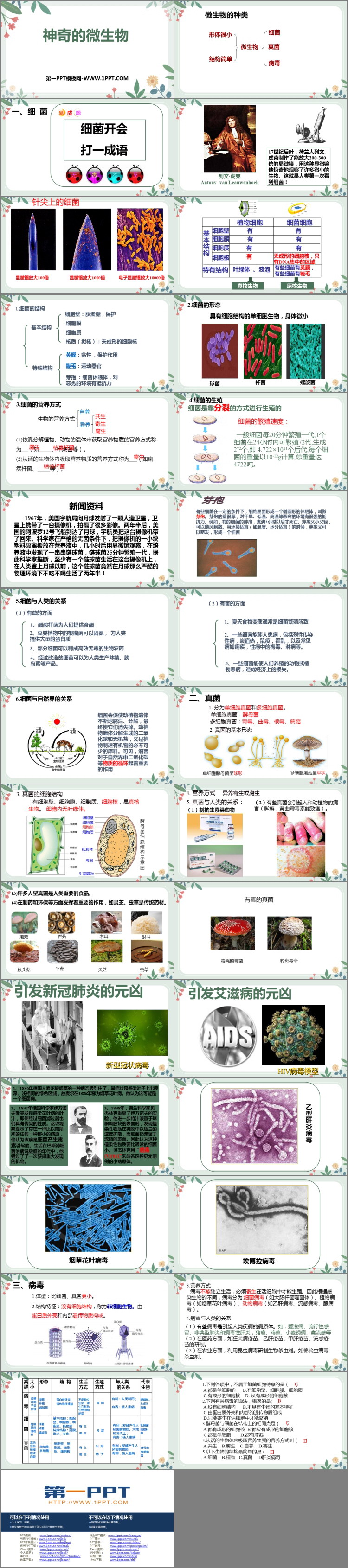 《神奇的微生物》PPT免费课件