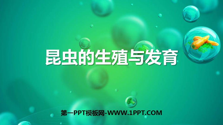 《昆虫的生殖与发育》PPT优秀课件