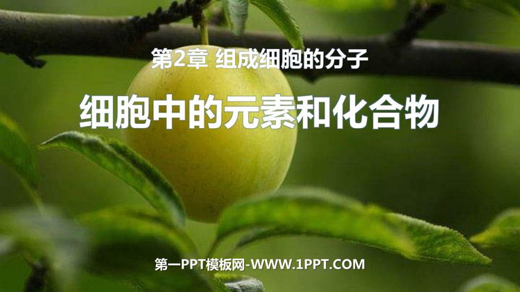 《细胞中的元素和化合物》组成细胞的分子PPT免费课件