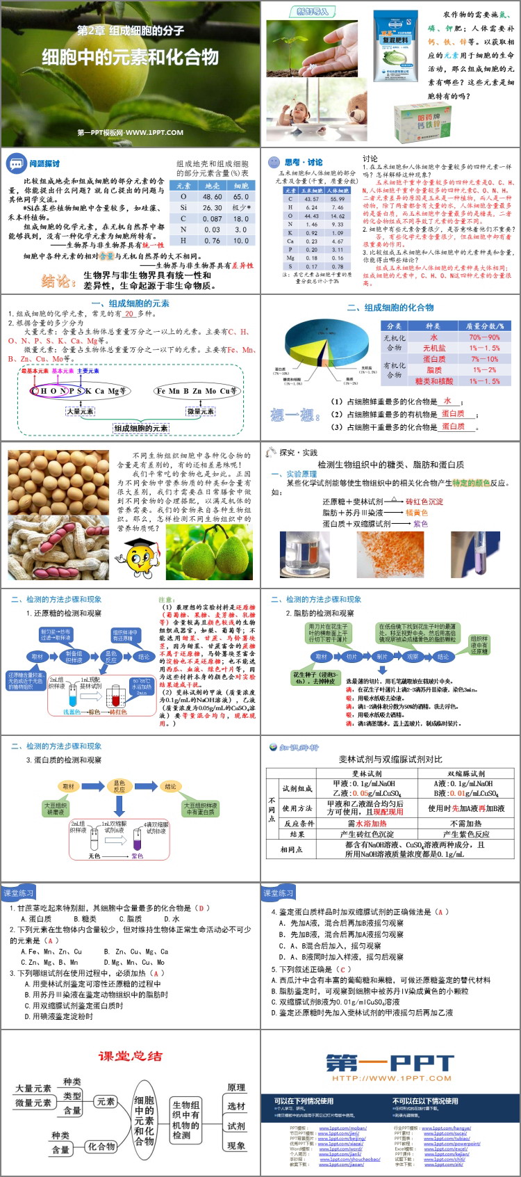 《细胞中的元素和化合物》组成细胞的分子PPT免费课件