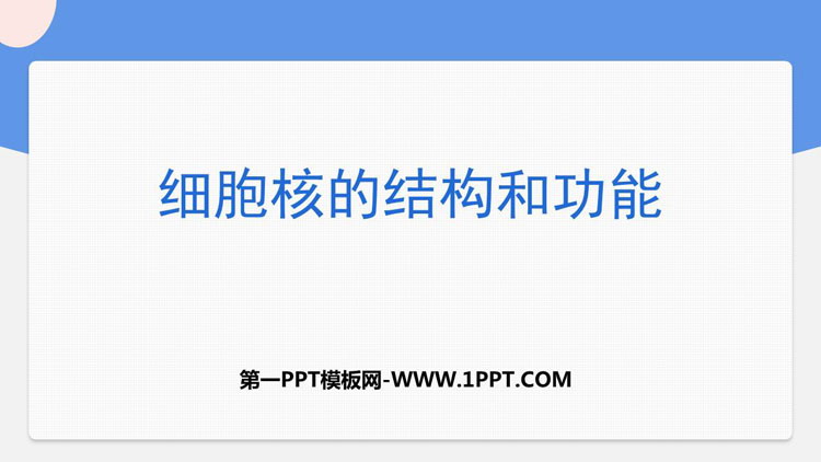 《细胞核的结构和功能》细胞的基本结构PPT下载