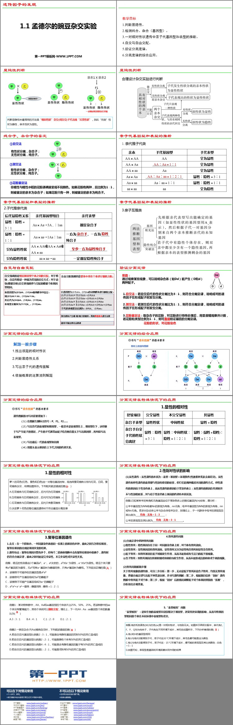 《孟德尔的豌豆杂交实验(一)》遗传因子的发现PPT课件下载