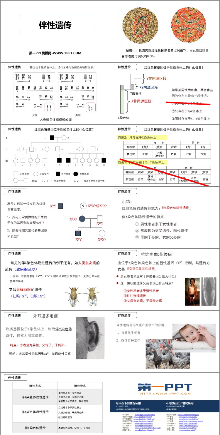《伴性遗传》基因和染色体的关系PPT教学课件