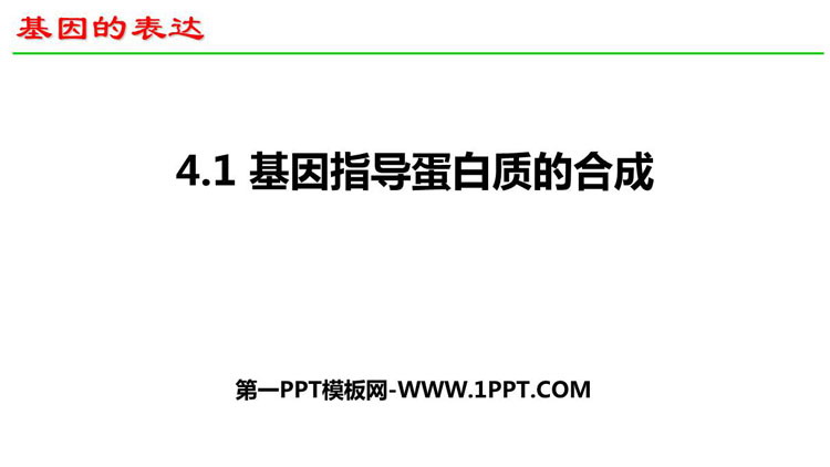 《基因指导蛋白质的合成》基因的表达PPT教学课件