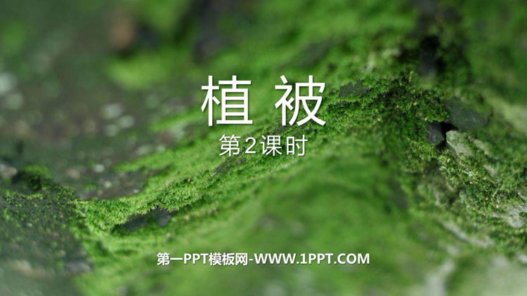 《植被》植被与土壤PPT下载(第2课时)