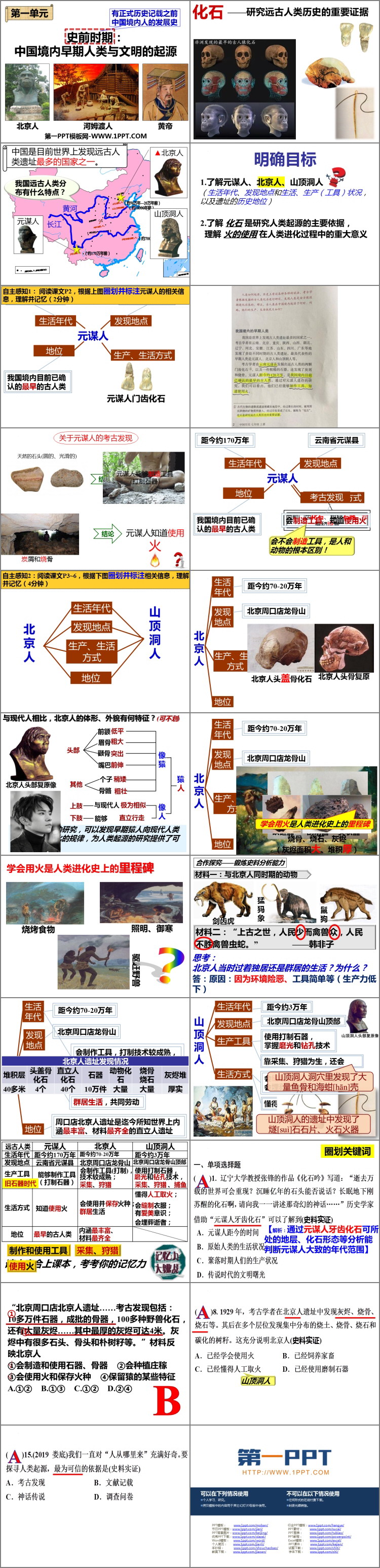 《中国早期人类的代表—北京人》PPT免费下载