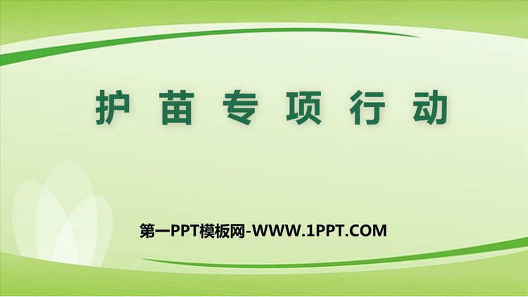 《护苗专项行动》PPT班会课件