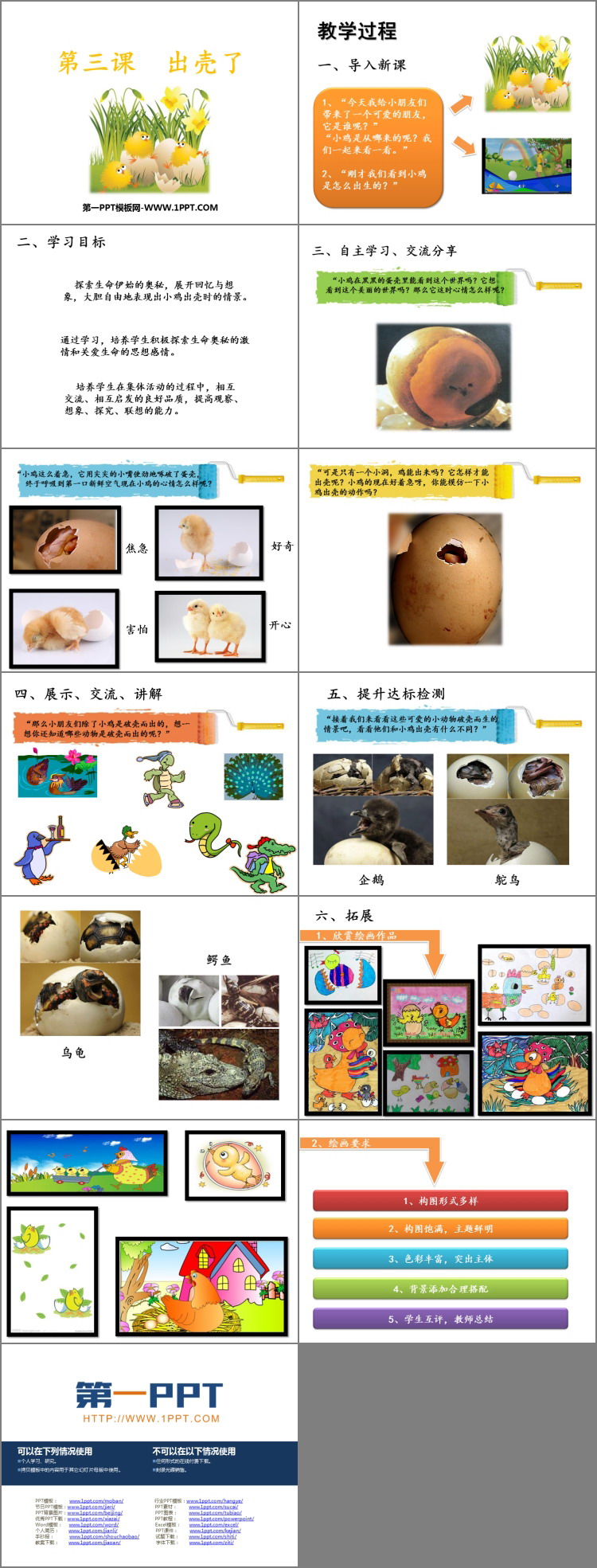 《出壳了》PPT课件
