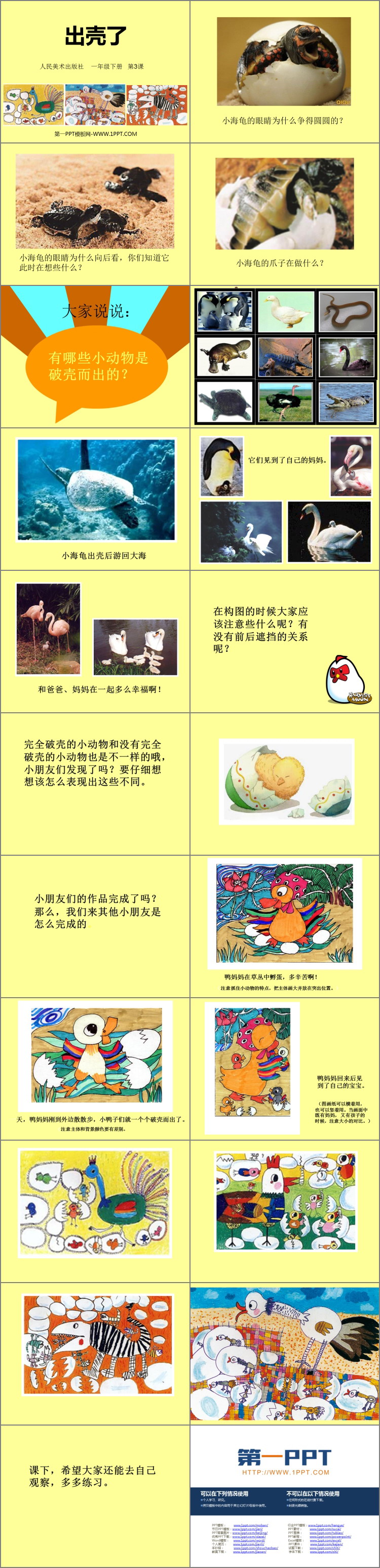 《出壳了》PPT下载