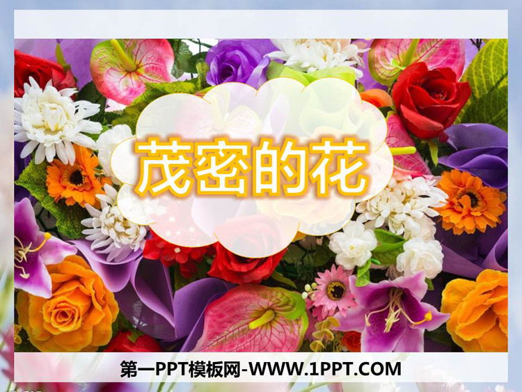 《茂密的花》PPT课件