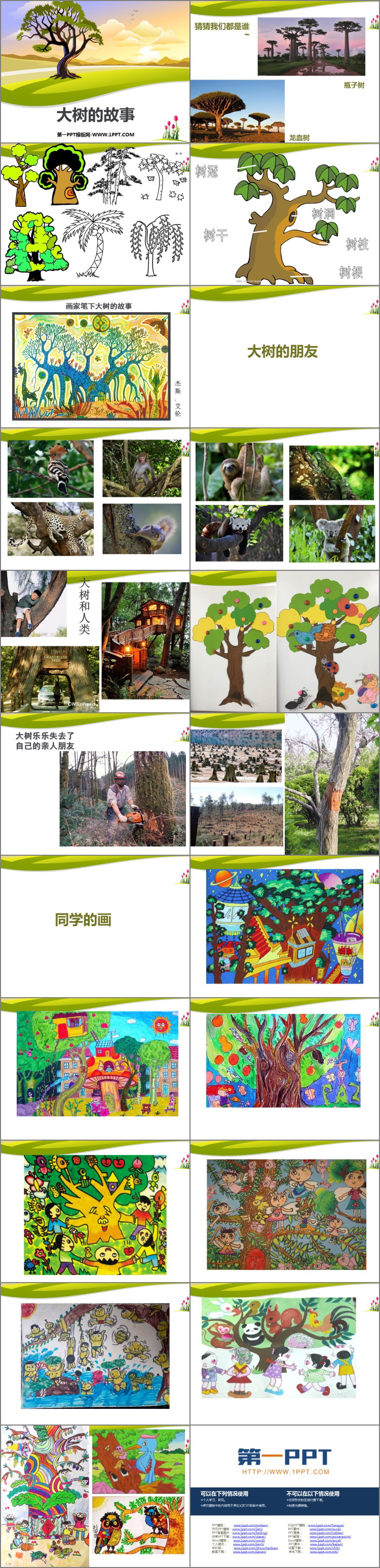 《大树的故事》PPT课件