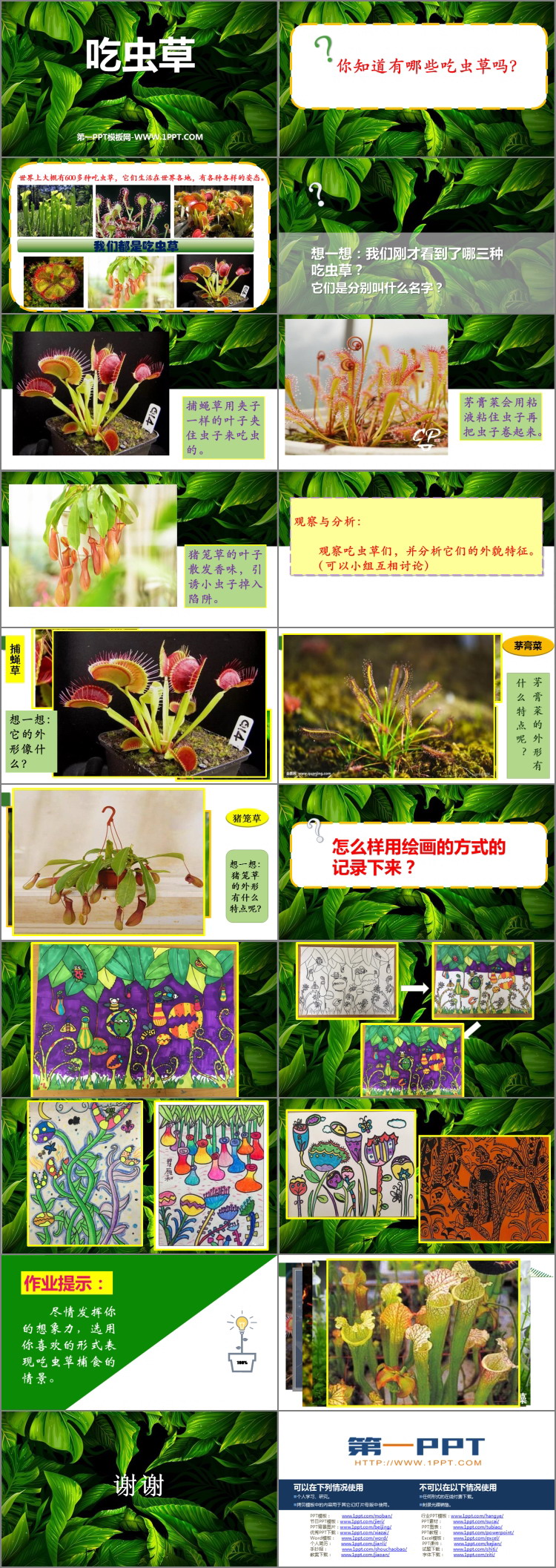 《吃虫草》PPT下载