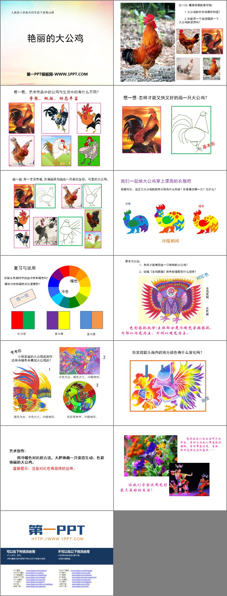 《艳丽的大公鸡》PPT教学课件