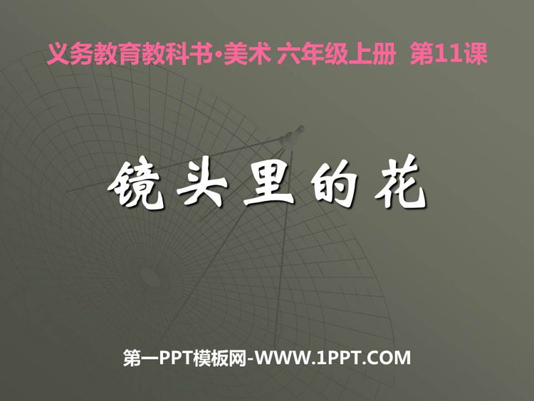 《镜头里的花》PPT下载