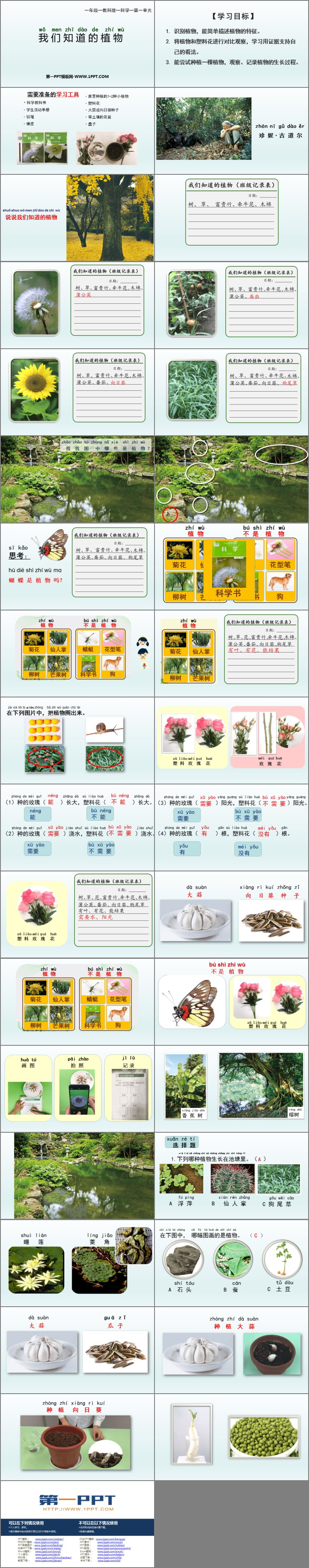 《我们知道的植物》PPT优质课件