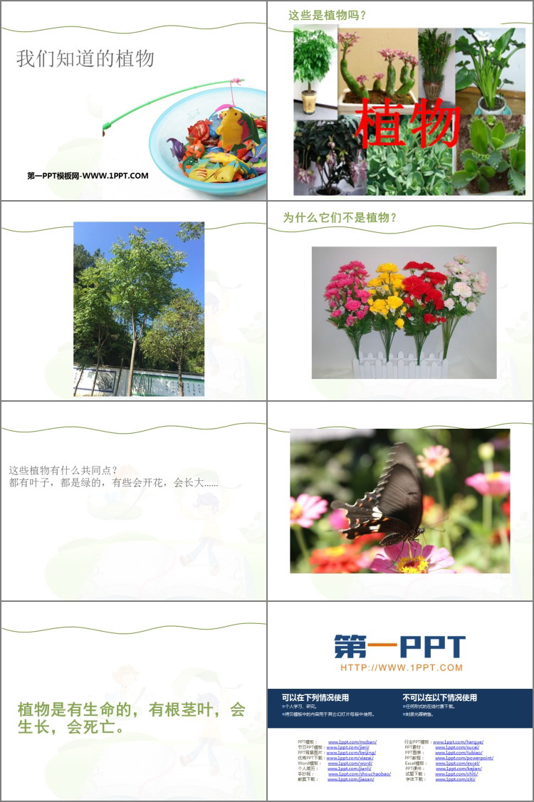 《我们知道的植物》PPT优秀课件