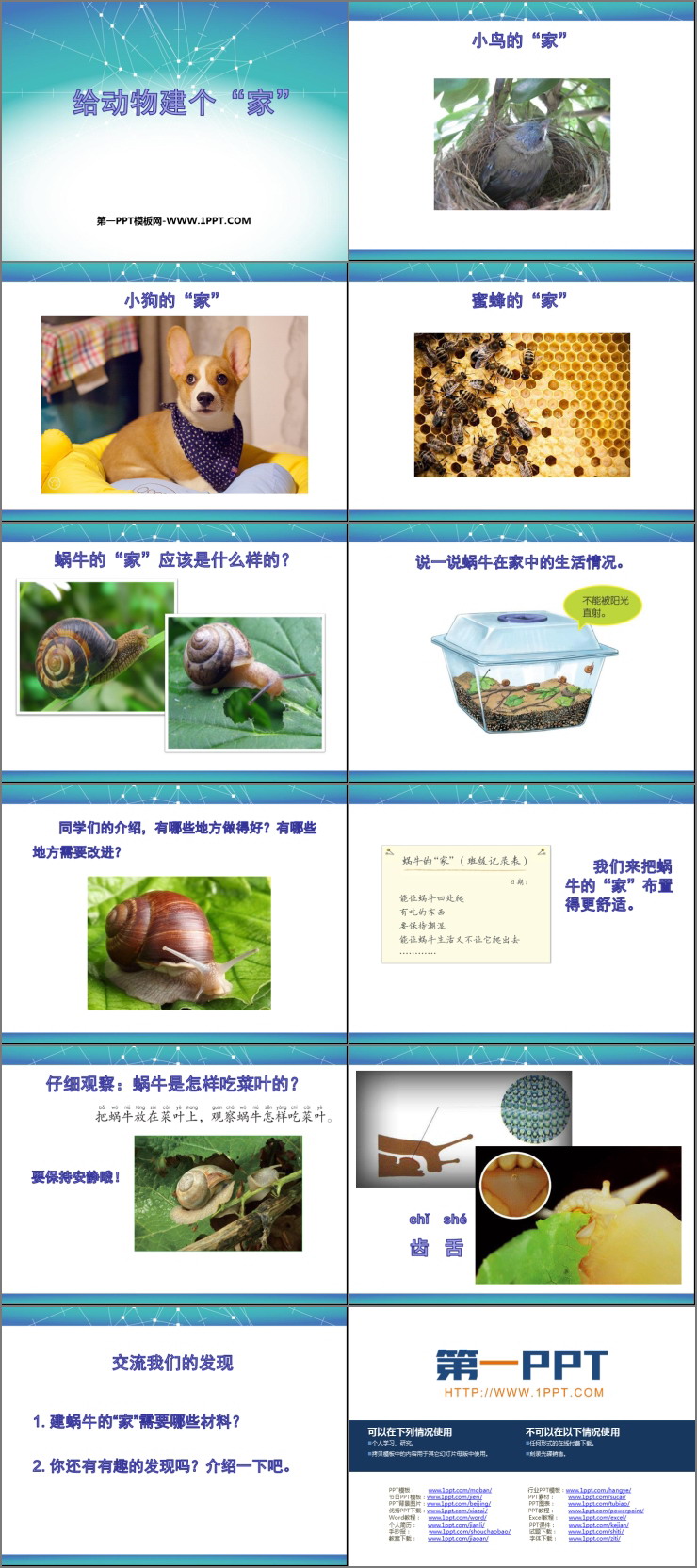 《给动物建个“家”》PPT教学课件