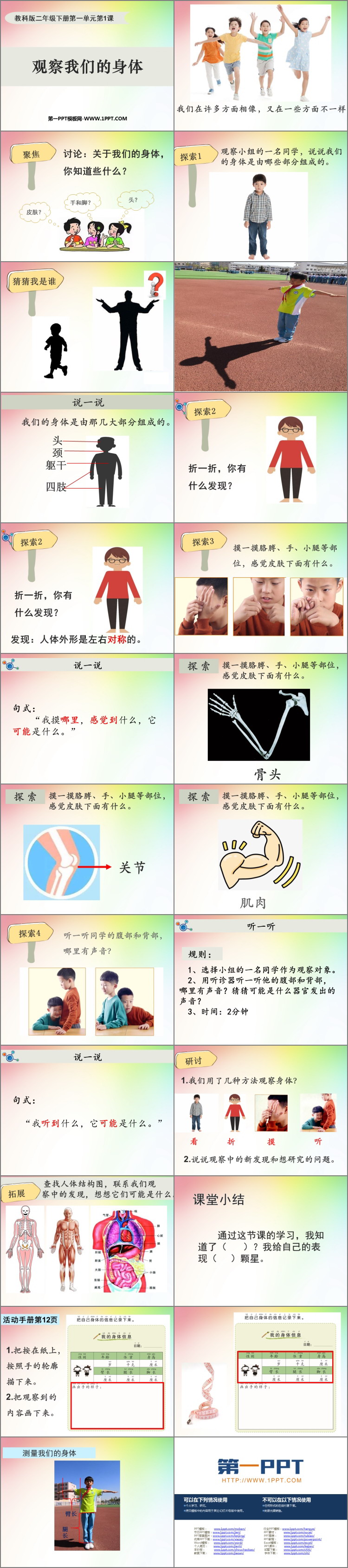 《观察我们的身体》PPT免费课件