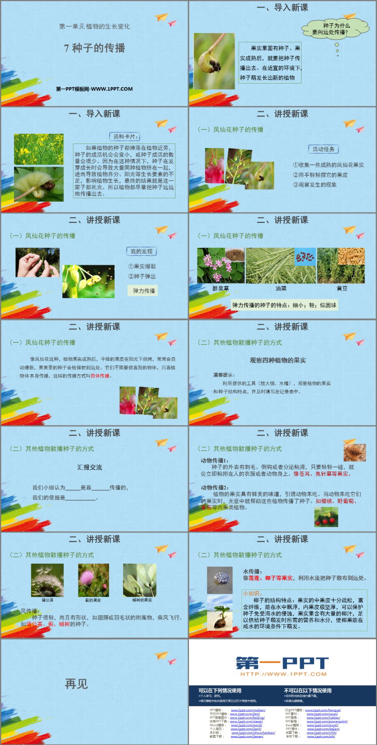 《种子的传播》PPT下载