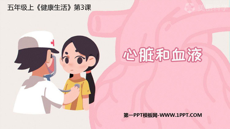 《心脏和血液》PPT课件