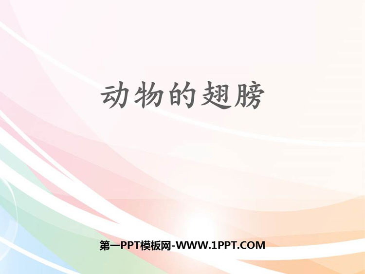 《动物的翅膀》PPT下载
