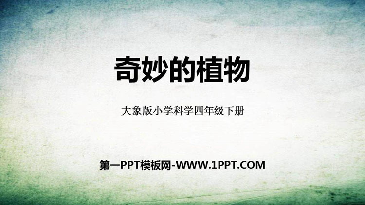 《奇妙的植物》PPT下载