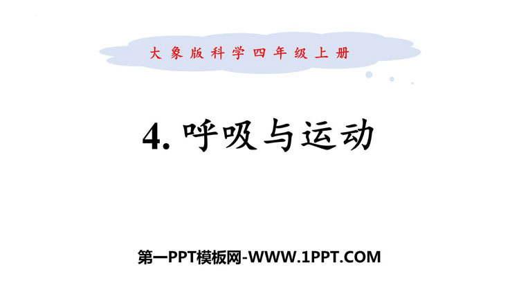 《呼吸与运动》PPT课件