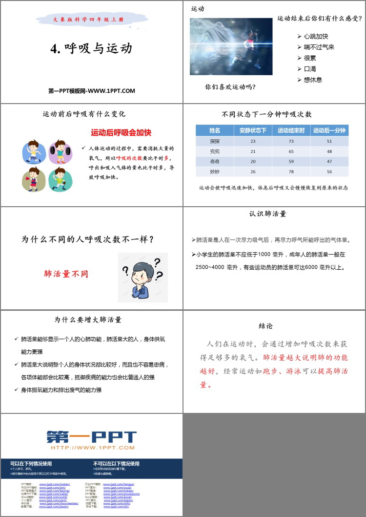《呼吸与运动》PPT课件