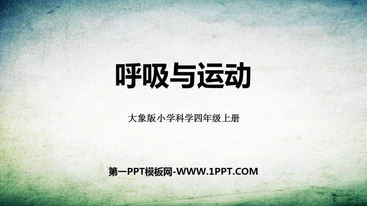 《呼吸与运动》PPT下载