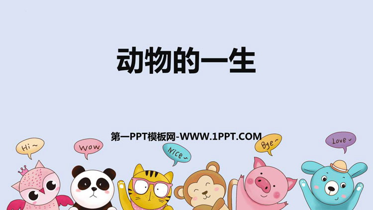 《动物的一生》PPT免费下载
