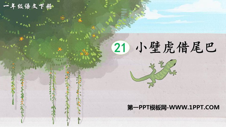 《小壁虎借尾巴》PPT免费课件下载