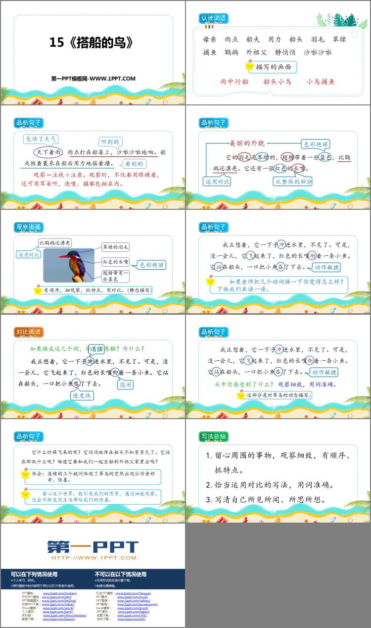 《搭船的鸟》PPT优质课件下载