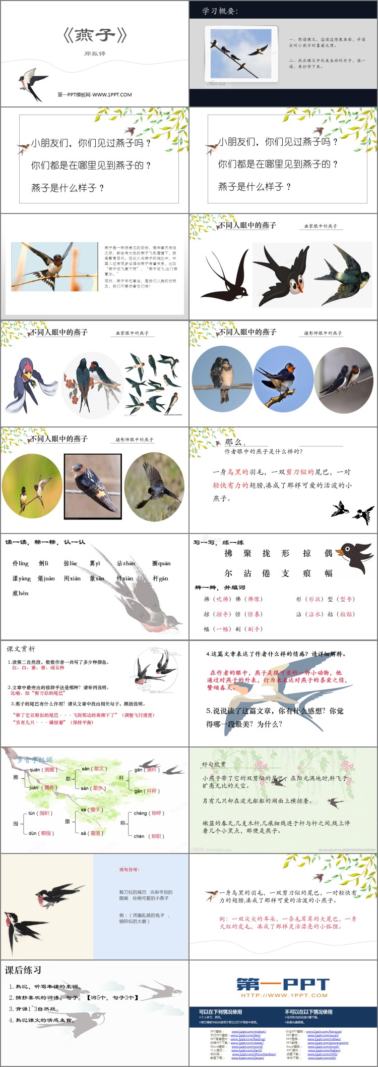 《燕子》PPT精品课件下载
