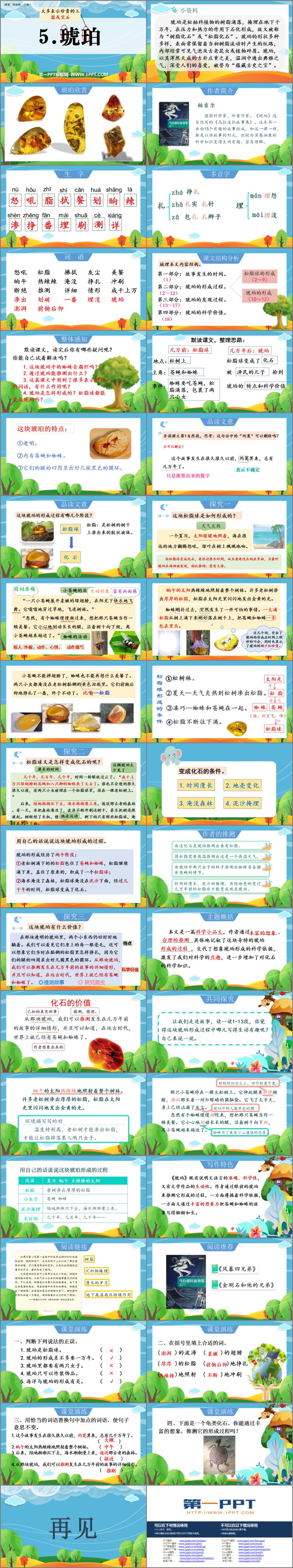 《琥珀》PPT教学课件下载