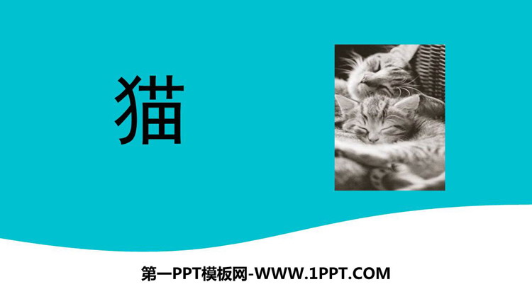 《猫》PPT免费精品课件