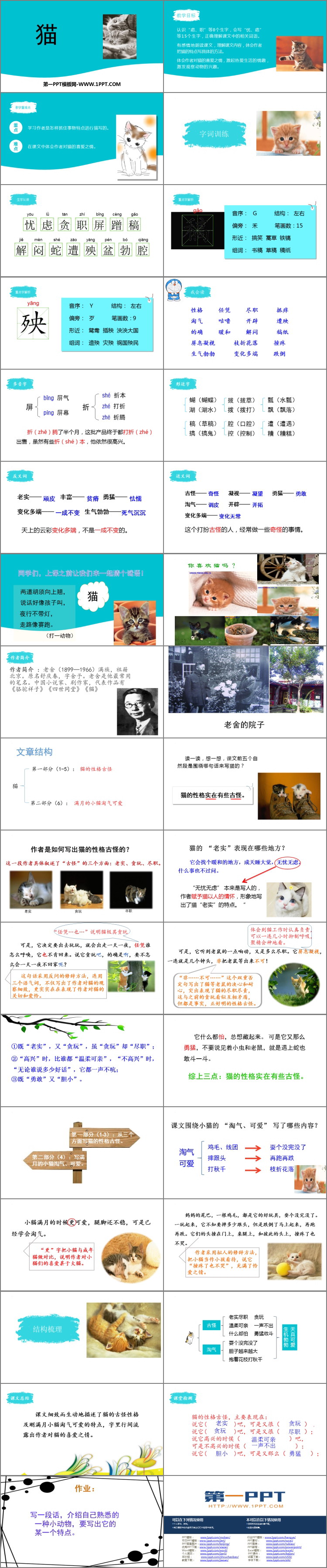《猫》PPT免费精品课件