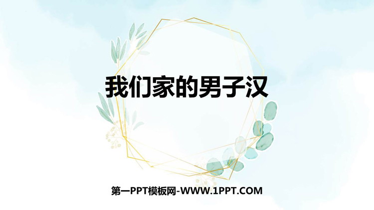 《我们家的男子汉》PPT精品课件下载
