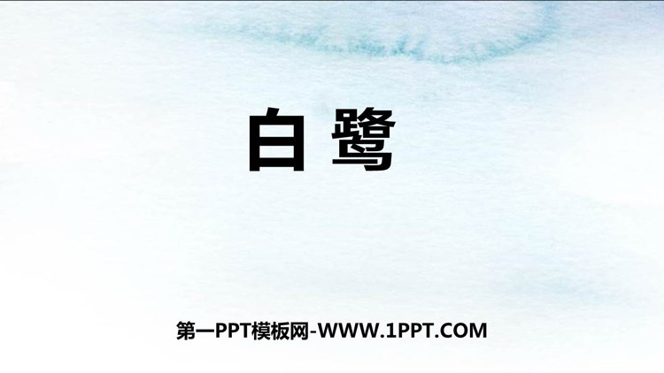 《白鹭》PPT教学课件下载