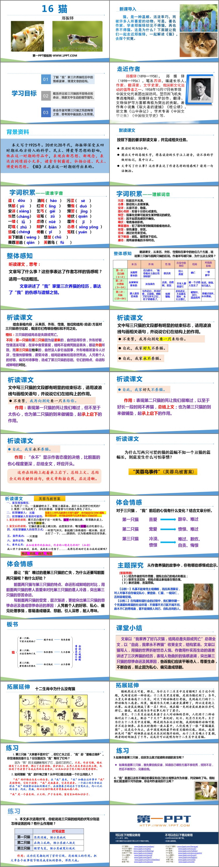《猫》PPT免费优秀课件